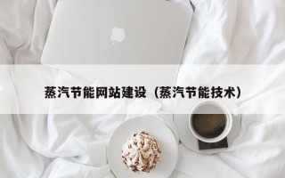 延安蒸汽节能网站建设（蒸汽节能技术）
